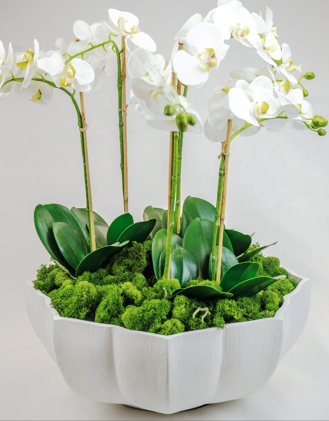 Decorative Potted Orchid